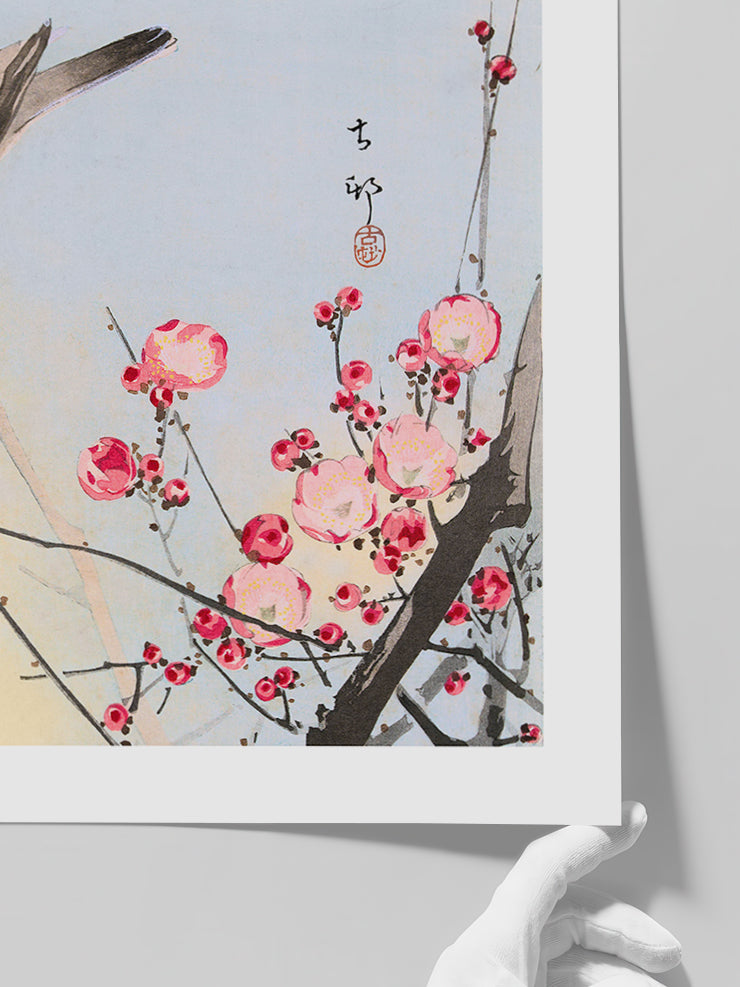 Ohara Koson N15 - Art Print Poster