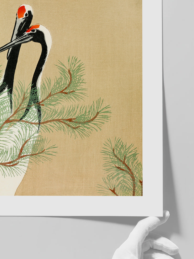 Kamisaka Sekka Cranes from Momoyogusa - Art Print Poster