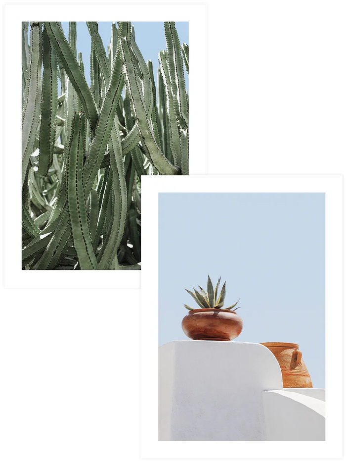 Kaktüs ve agave botanik poster seti