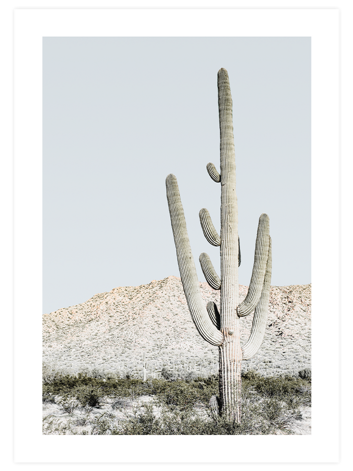 Natural Colors - Poster Seti Trio Poster