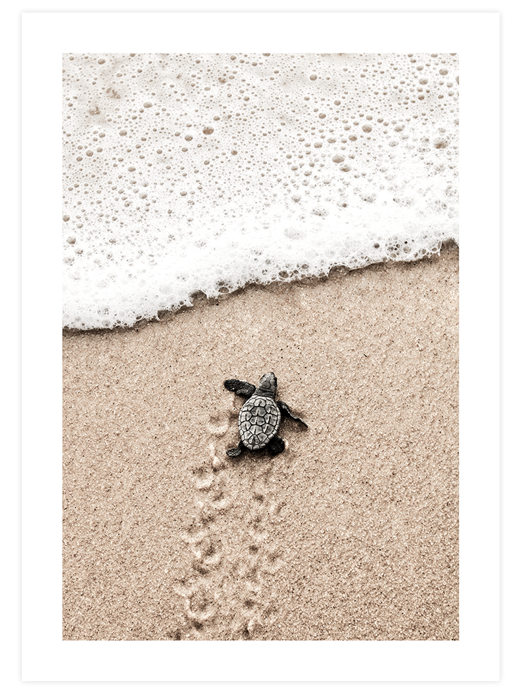 Elegance Beige Poster Seti Poster