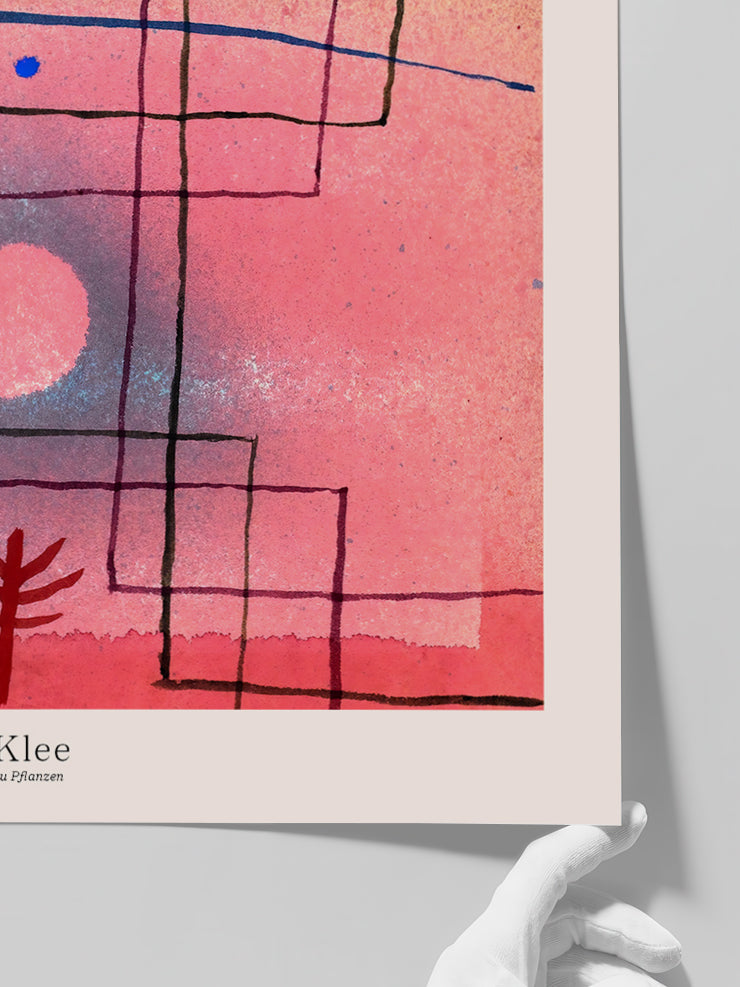 Klee Nach Regeln zu Pflanzen - Art Print Poster