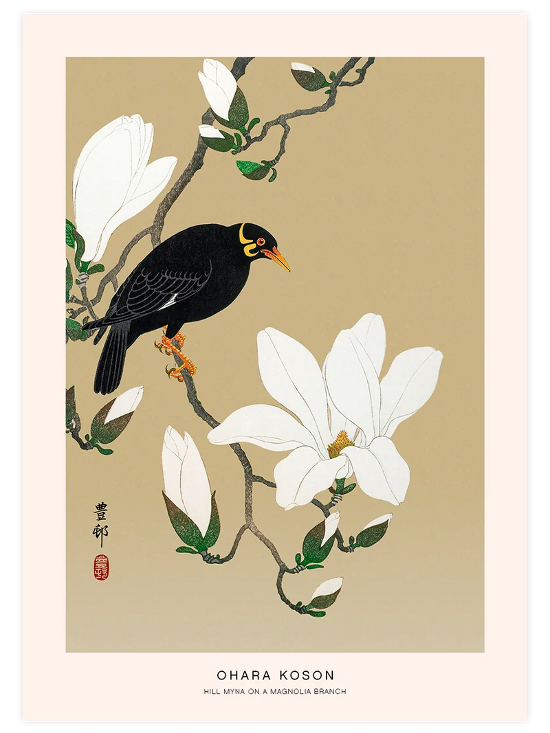 Ohara Koson Hill Myna on a Magnolia Branch - Art Print