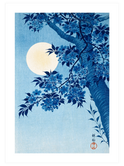 Ohara Koson Blossoming Cherry On A Moonlit Night Poster - Giclée Baskı