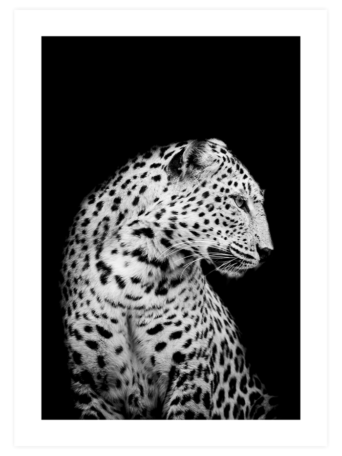 Black & White Touch Poster Seti Poster