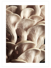 Makro Mantar N2 - Art Print