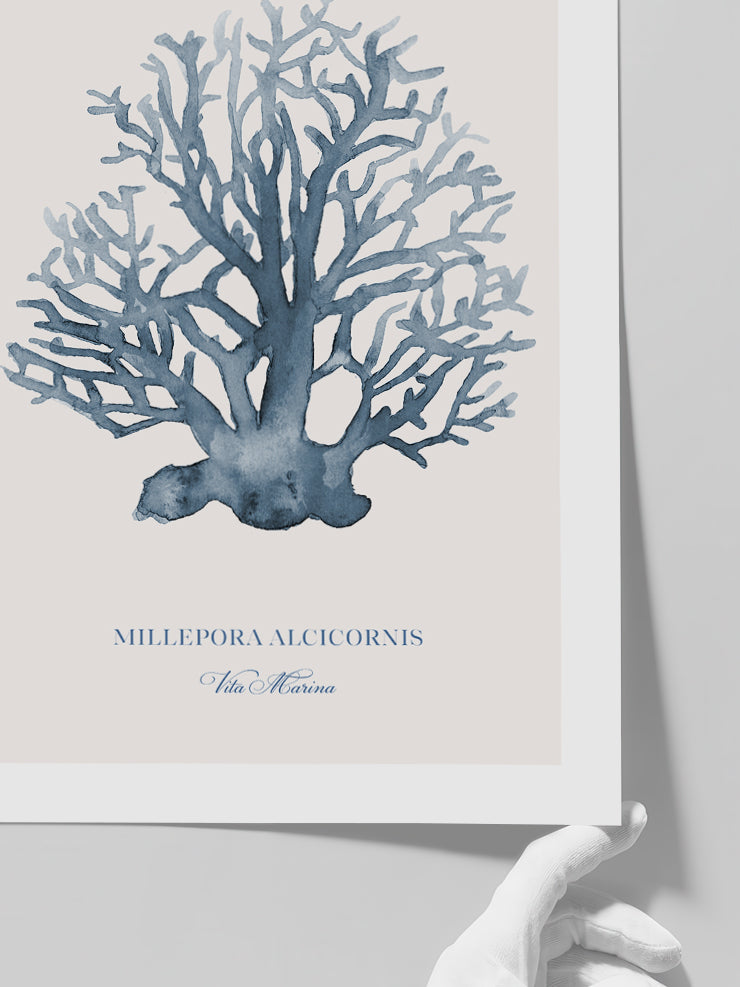 Vita Marina - Art Print Poster