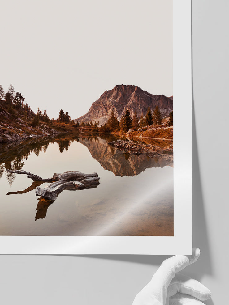 Silence - Art Print Poster