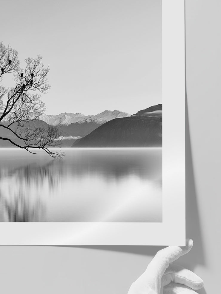 Purity - Art Print Poster