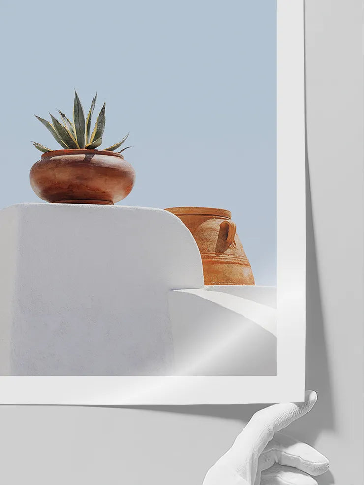 Minimal Akdeniz bitki fotoğraf posteri