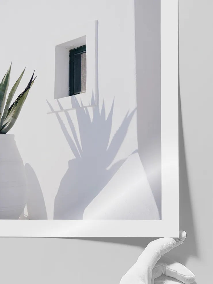 Beyaz cephede agave sanat posteri