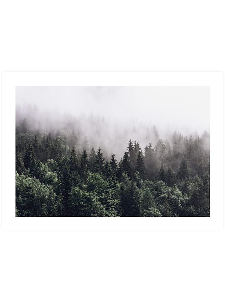 Minimalist Orman - Art Print Fotoğraflar Poster