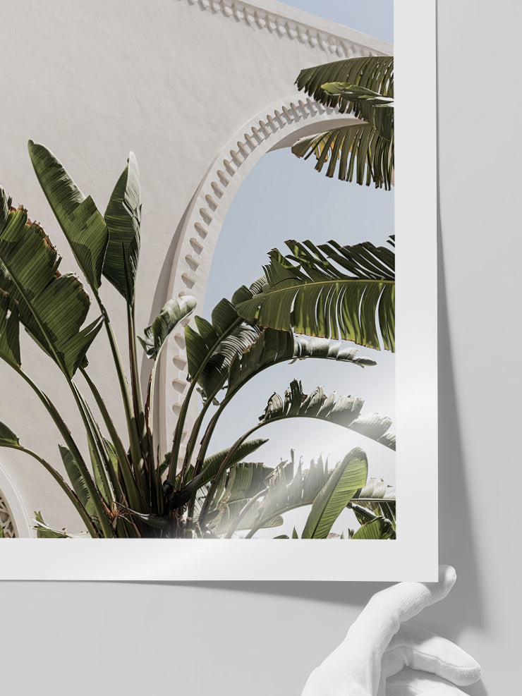 Banana Tree - Art Print Poster