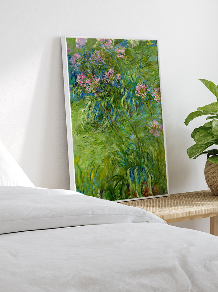 Monet Agapanthus - Art Print Poster