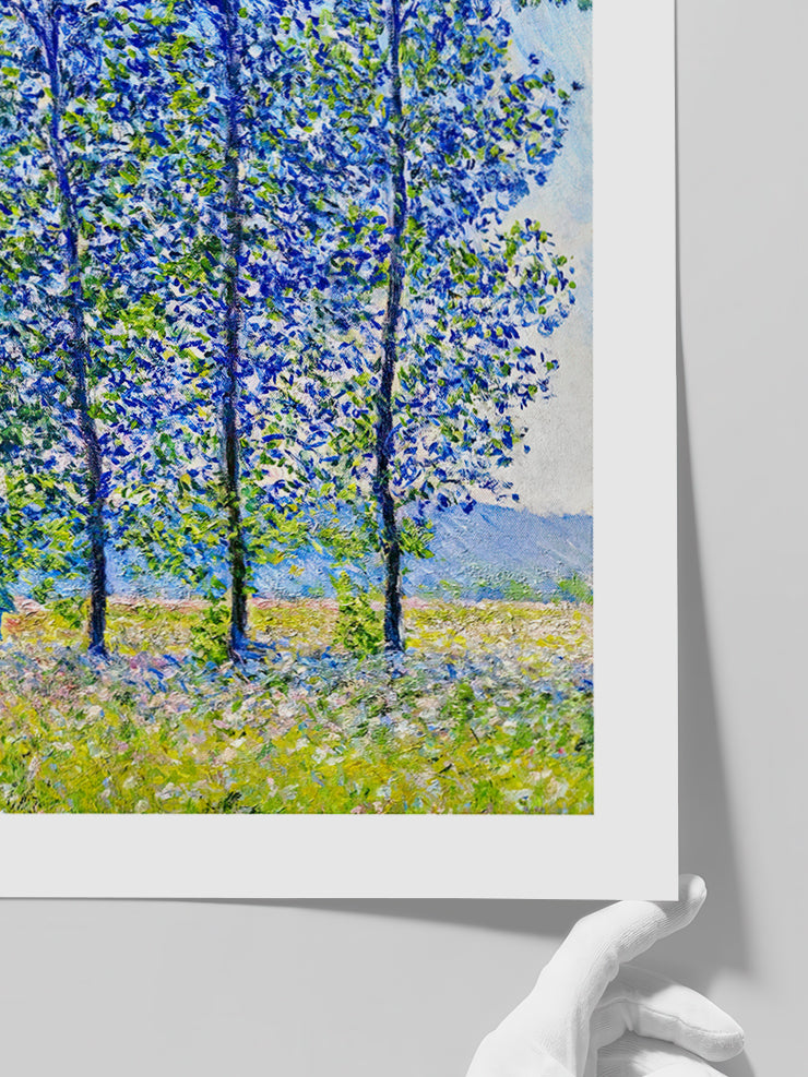 Monet Sunlight Effect Under The Poplars - Art Print Poster