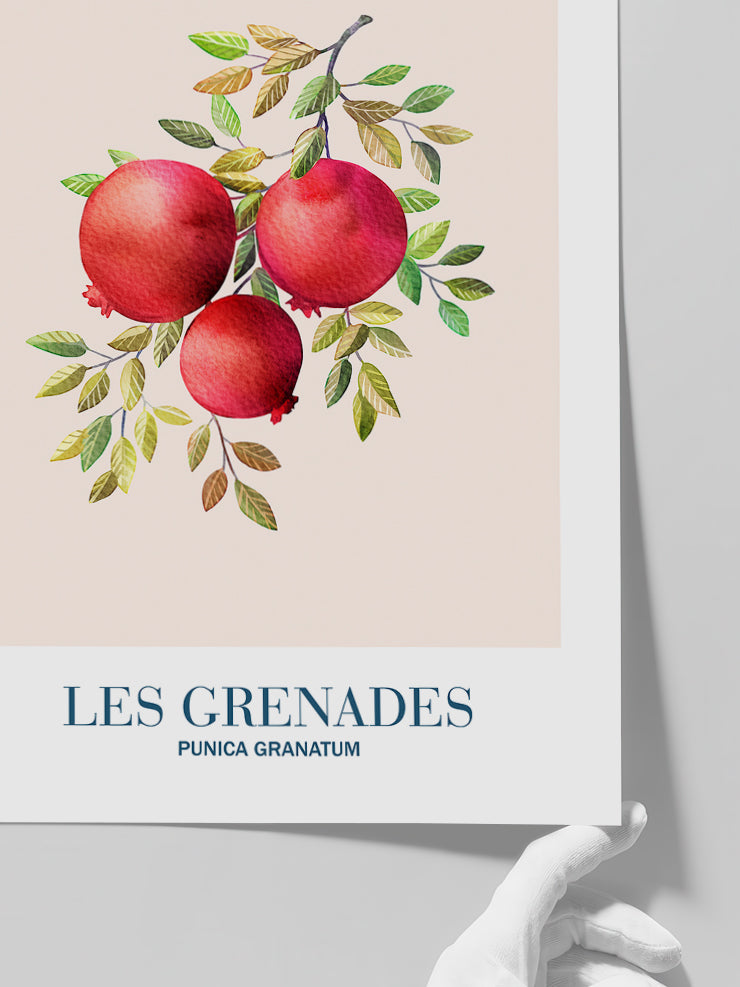 Les Grenades - Art Print Poster