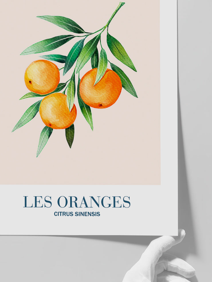 Les Oranges - Art Print Poster
