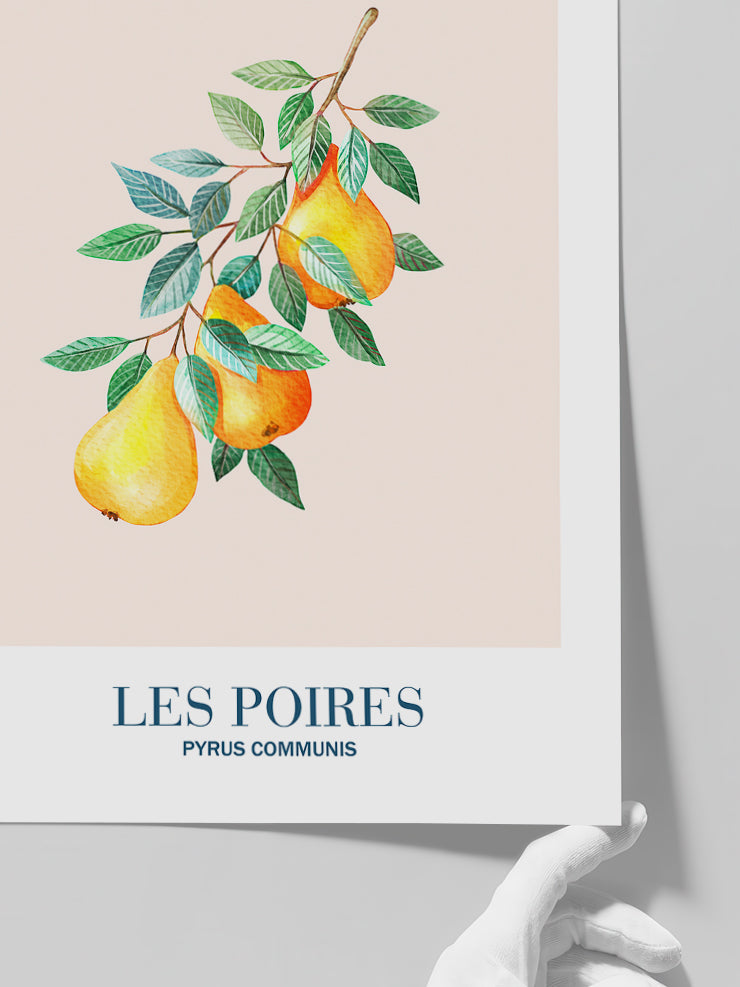 Les Poires - Art Print Poster
