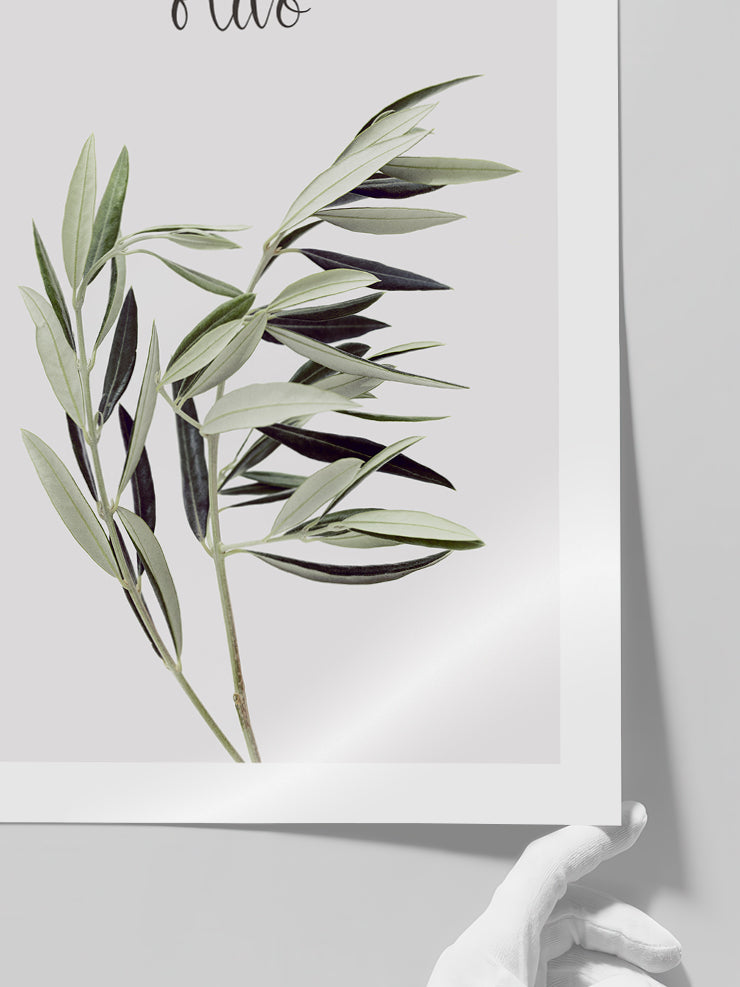 Olivo - Art Print Poster
