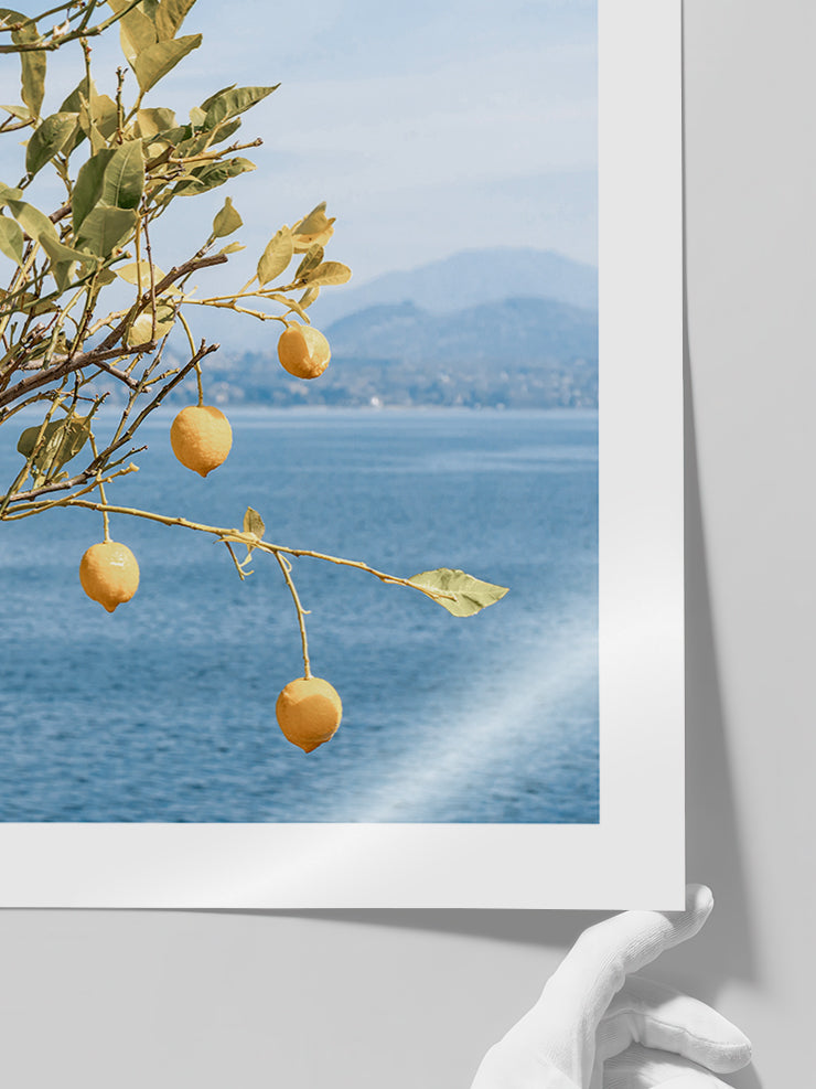 Deniz Manzaralı Limon Ağacı - Art Print Poster