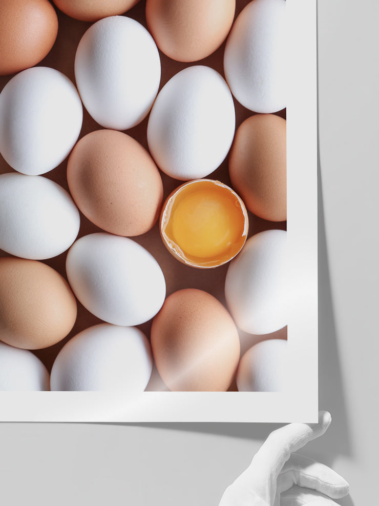 Eggs - Art Print Poster