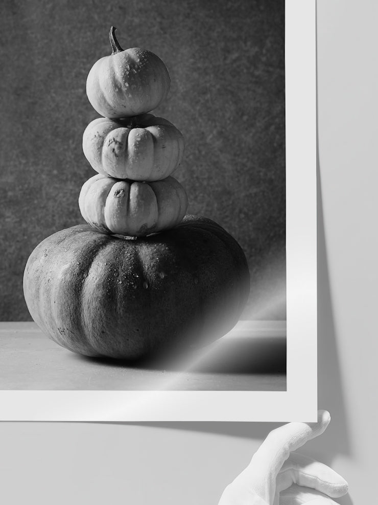 Balkabakları - Art Print Poster
