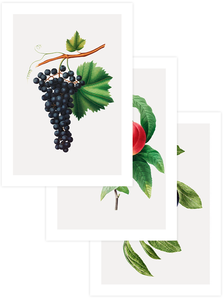 Fruity Corner - Poster Seti Trio Mutfak Poster