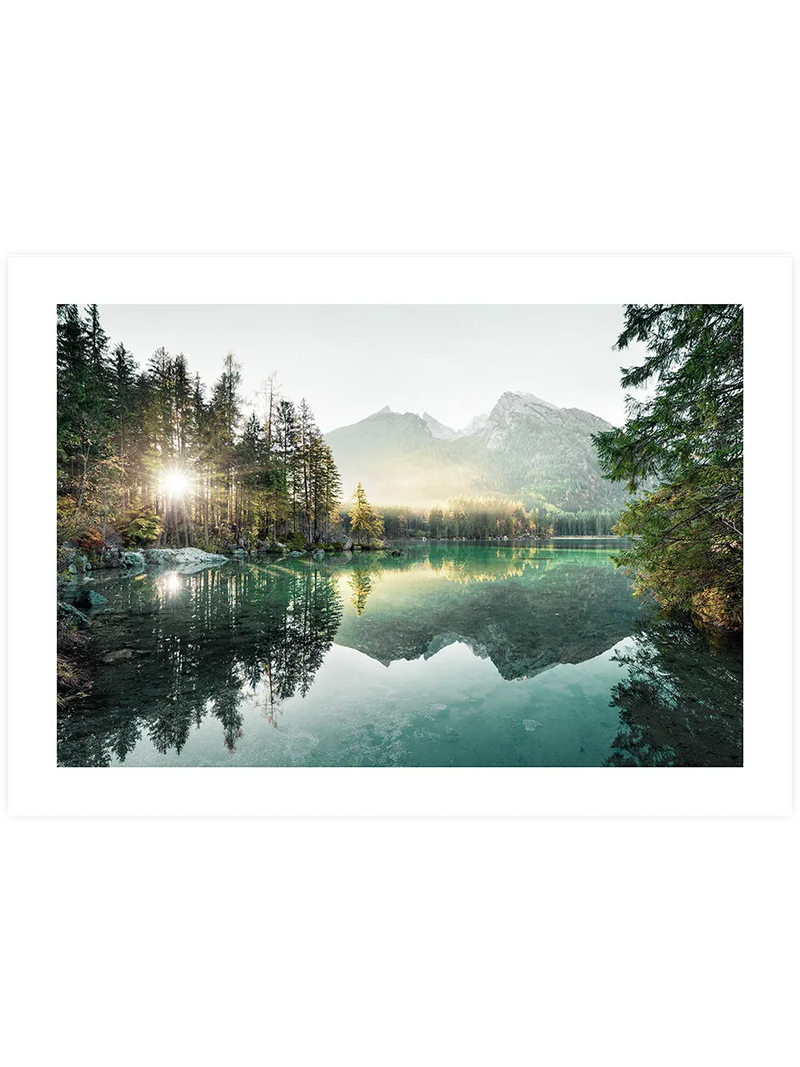 Nature Vibes - Art Print