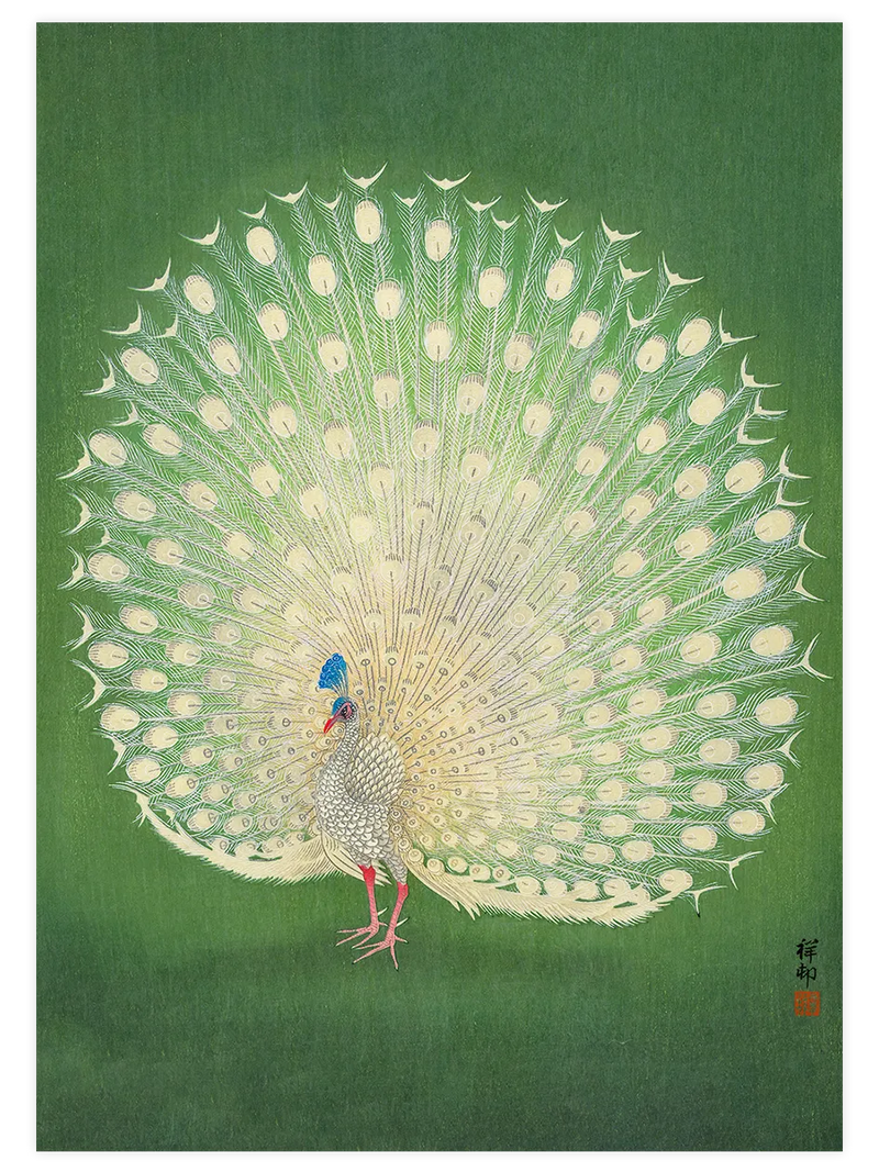 Ohara Koson Peacock - Art Print Ünlü Ressamlar Poster