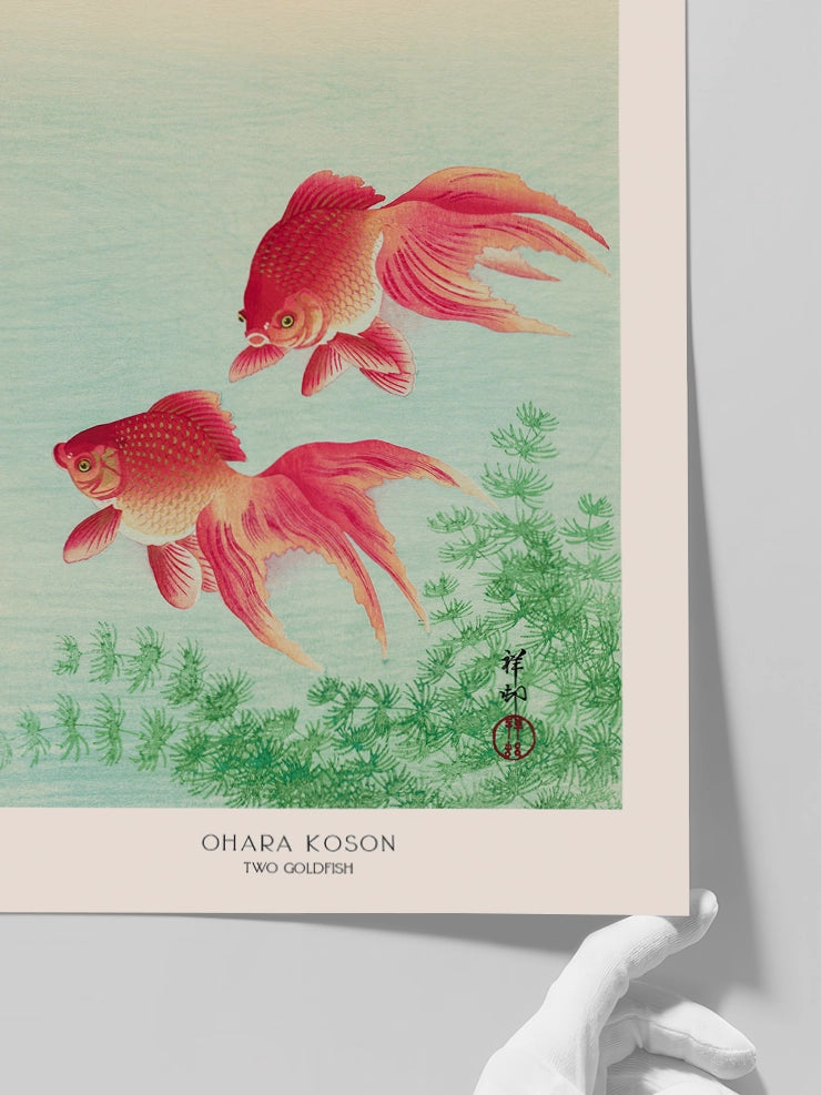 Ohara Koson, Two Goldfish - Art Print Poster