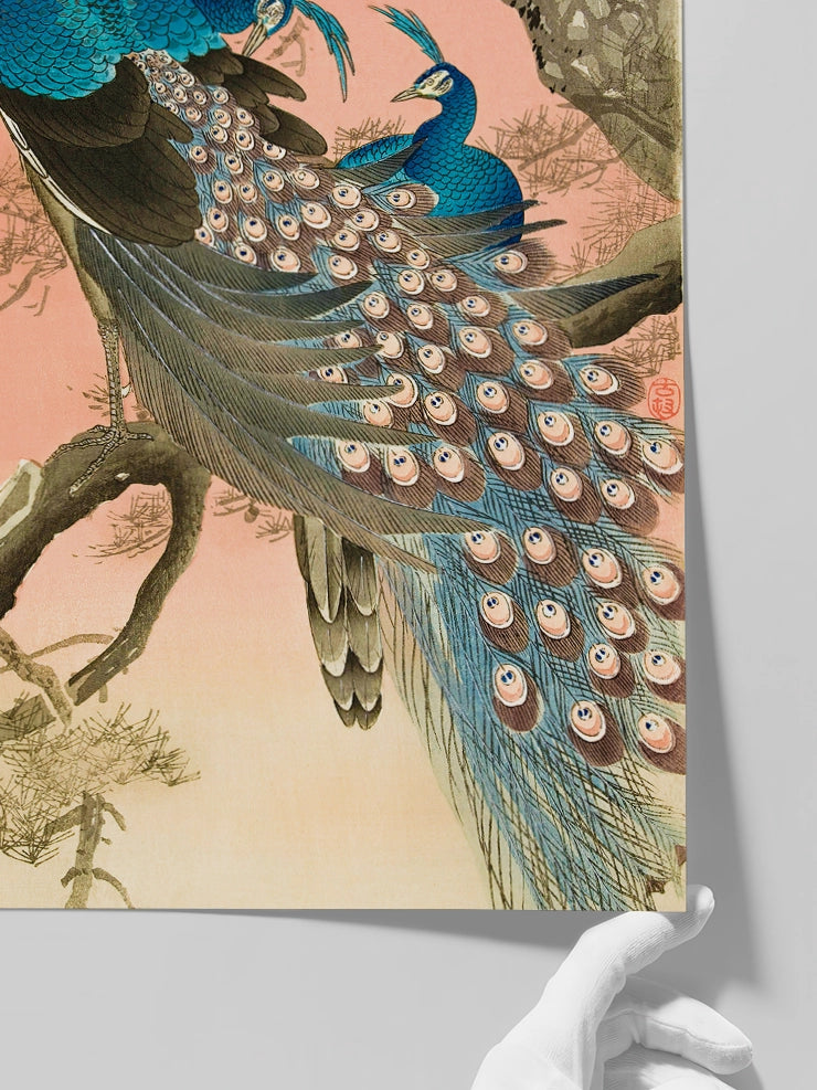 Ohara Koson Two Peacocks on Tree Branch - Art Print Poster