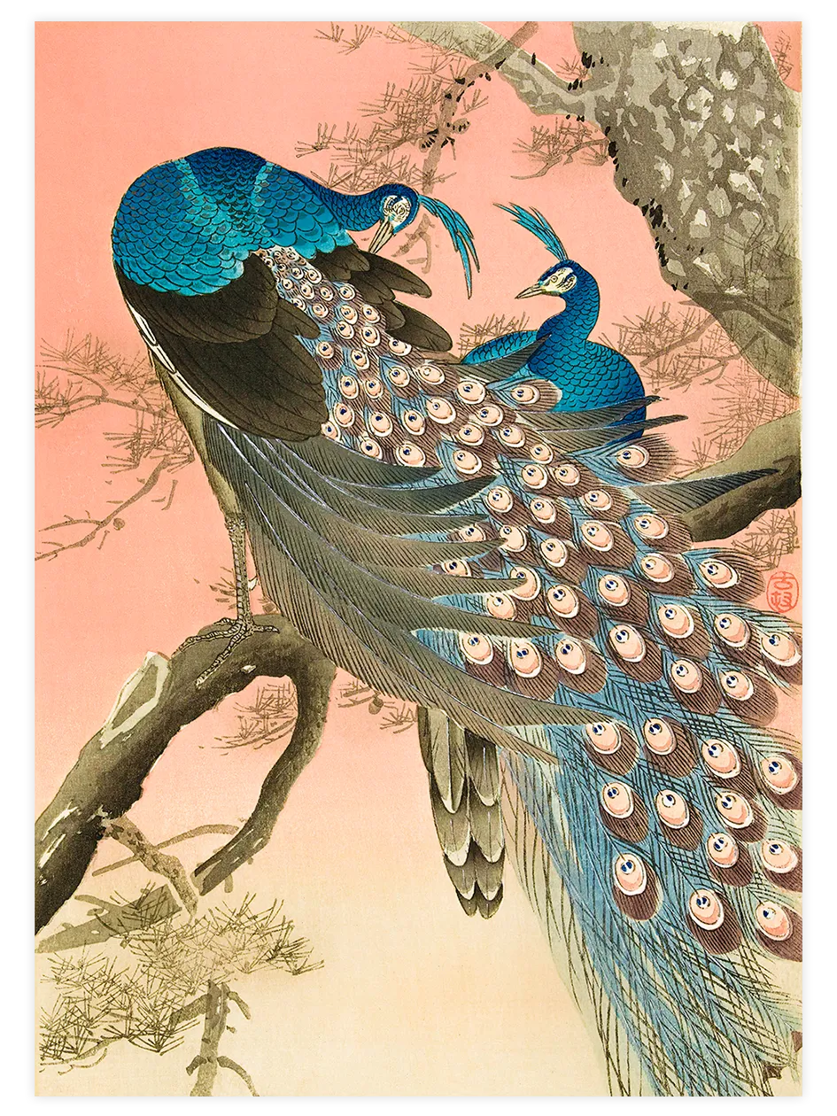 Ohara Koson Two Peacocks on Tree Branch - Art Print Ünlü Ressamlar Poster