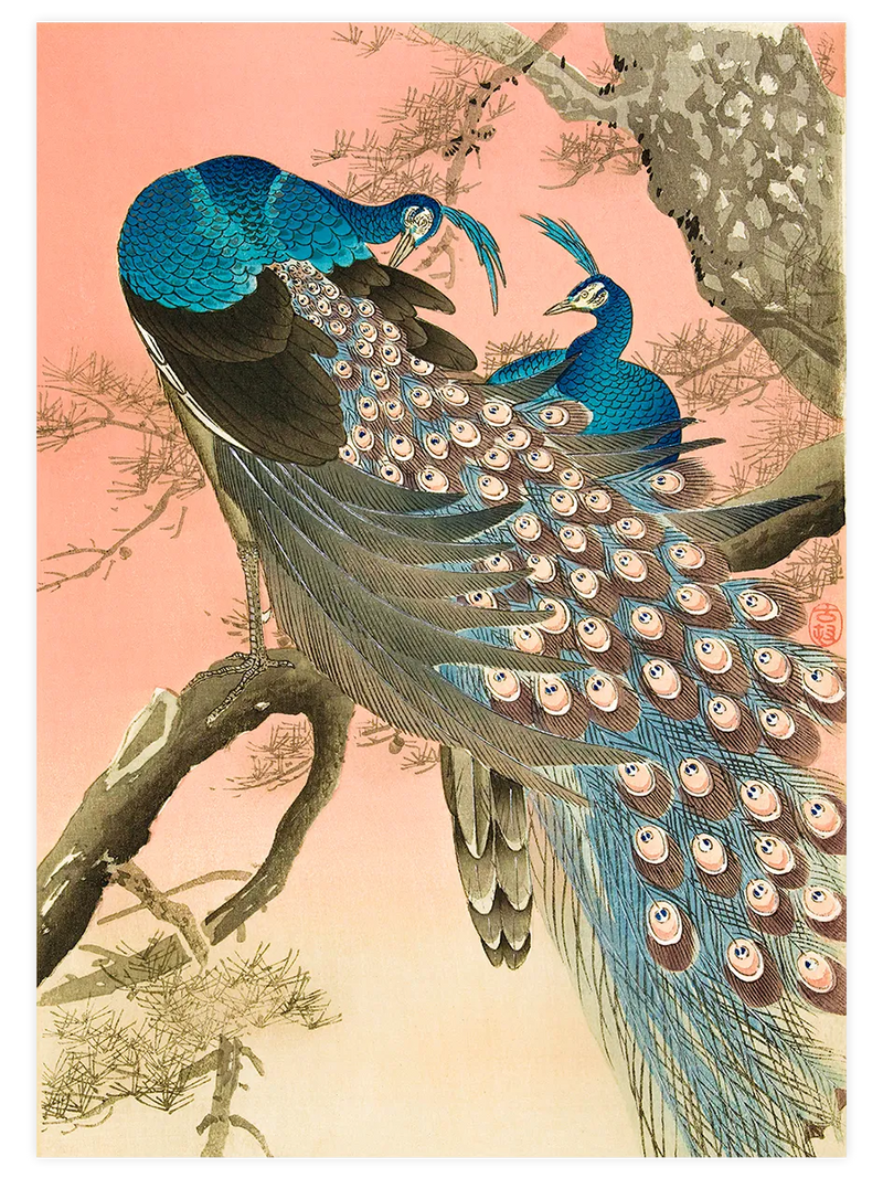 Ohara Koson Two Peacocks on Tree Branch - Art Print Ünlü Ressamlar Poster