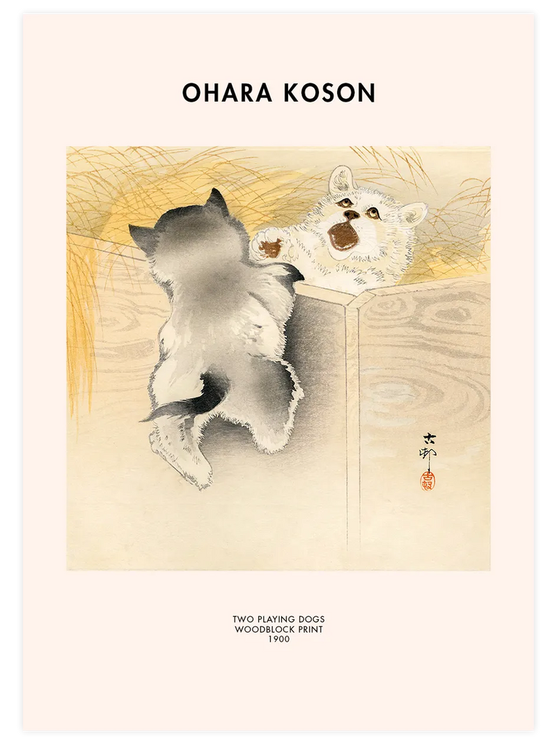 Ahşap bölme çevresinde oynayan iki yavru köpek.