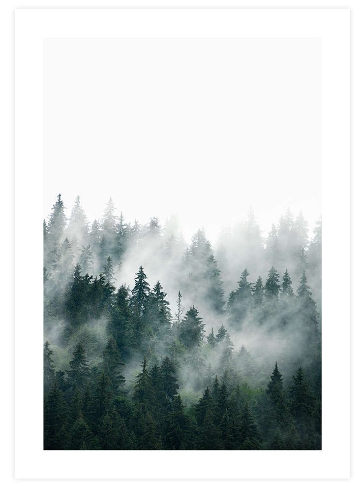 Sisli Orman N1 - Art Print Fotoğraflar Poster