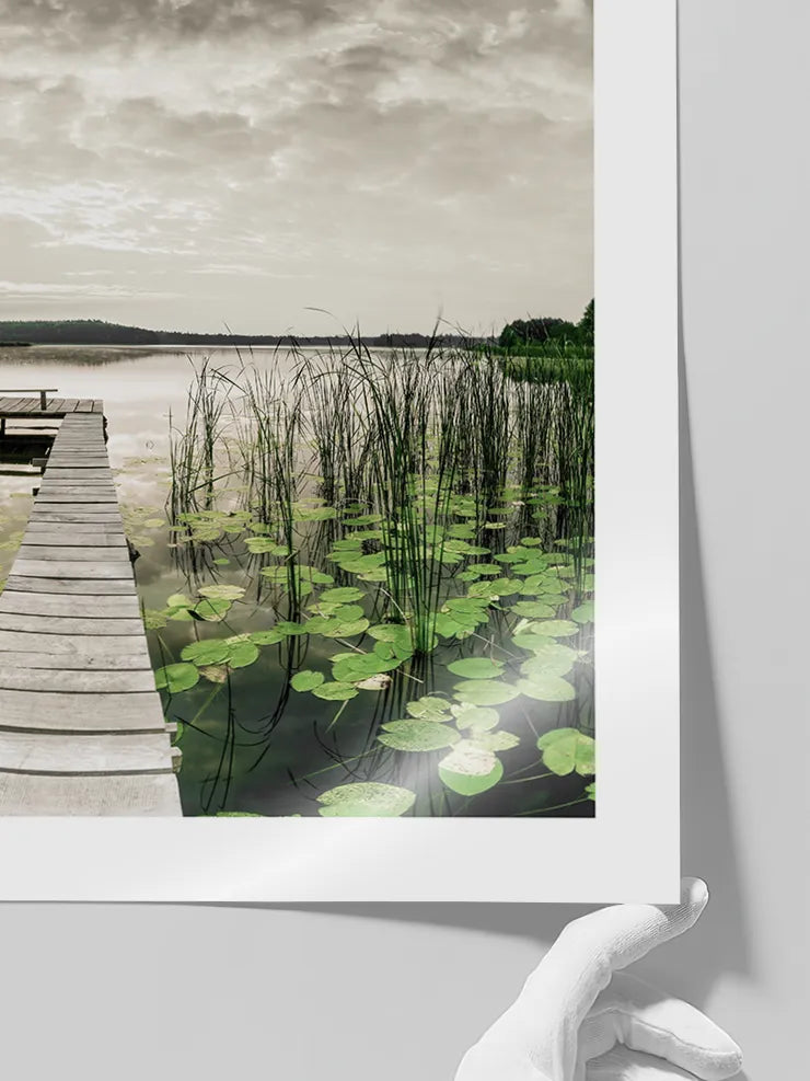 Path to Silence - Art Print