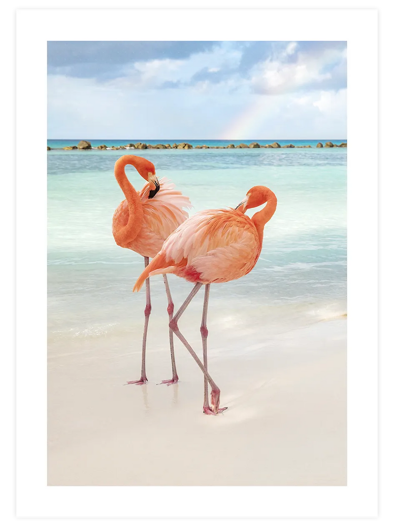 Turkuaz sahilde iki pembe flamingo posteri
