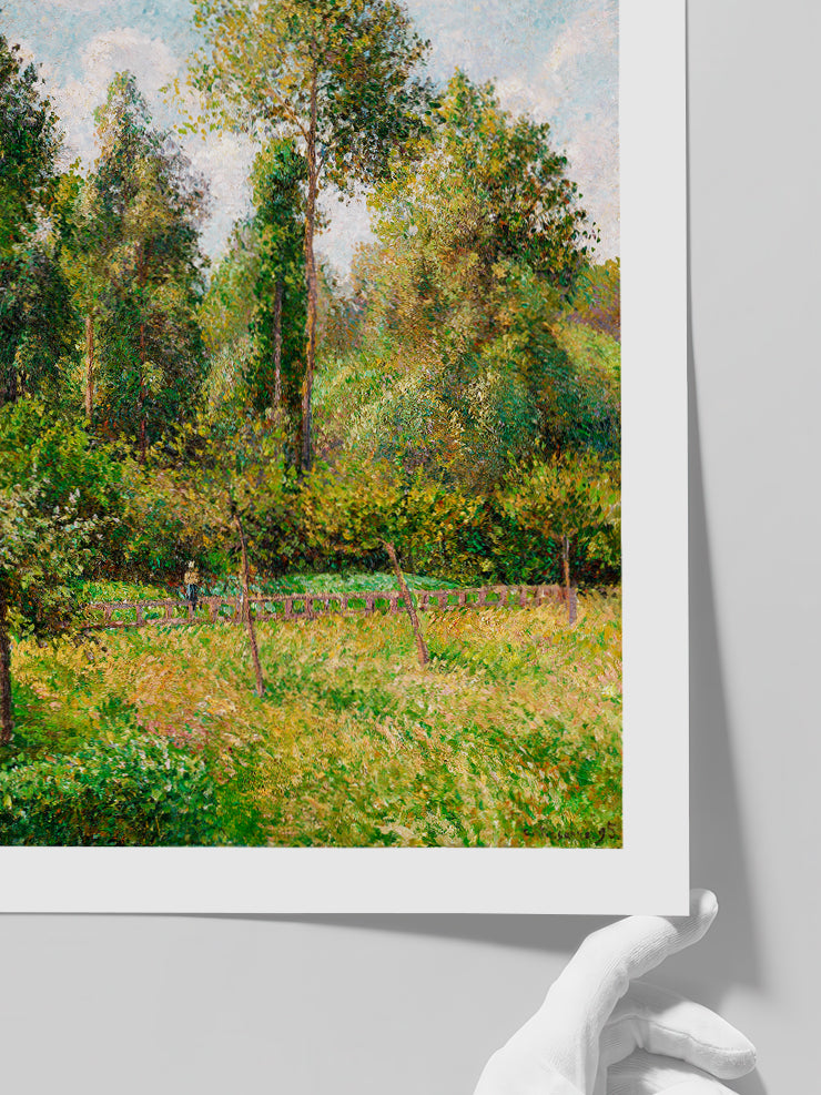 Camille Pissarro Kavaklar - Art Print Poster
