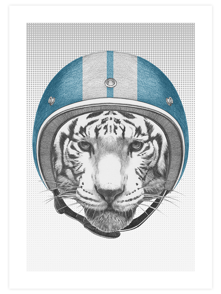 Leopar & Kaplan Pilot - Poster Seti Duo Poster