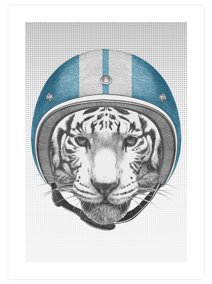 Leopar & Kaplan Pilot - Poster Seti Duo Poster