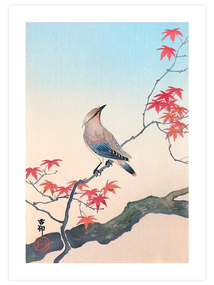 Ohara Koson Birds - Poster Seti Duo Poster