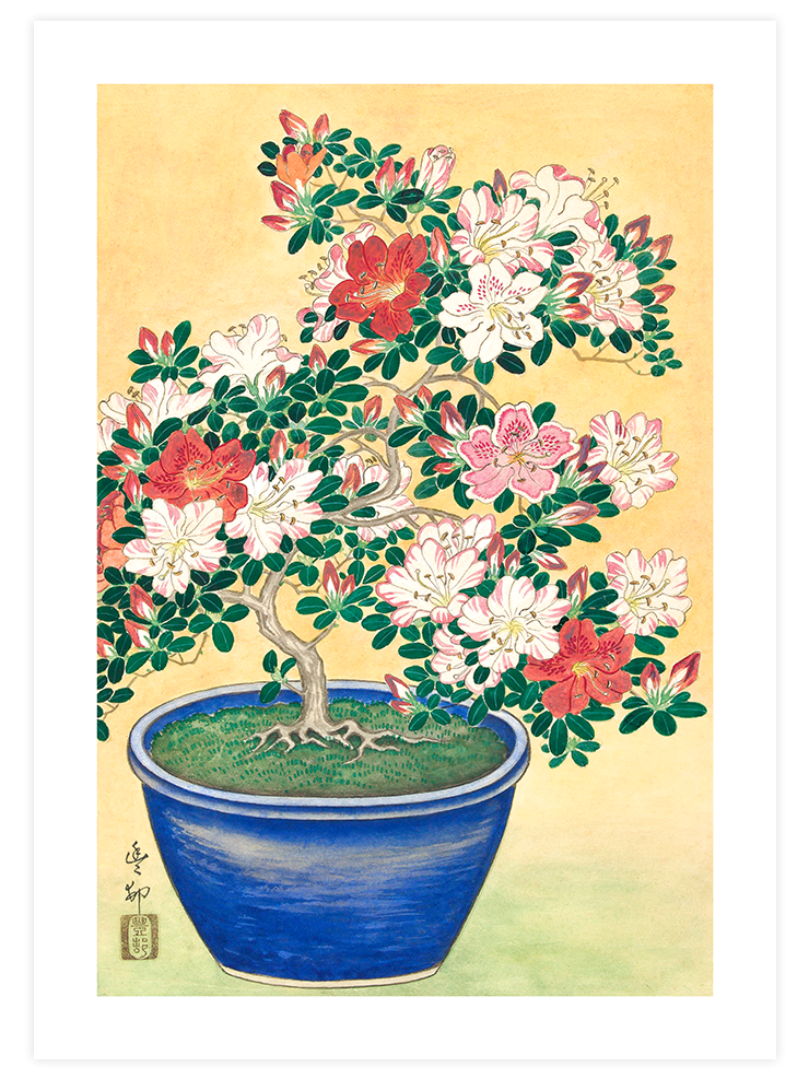 Ohara Koson Flowers - Poster Seti Duo Poster