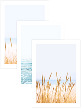 Abundance - Poster Seti Trio