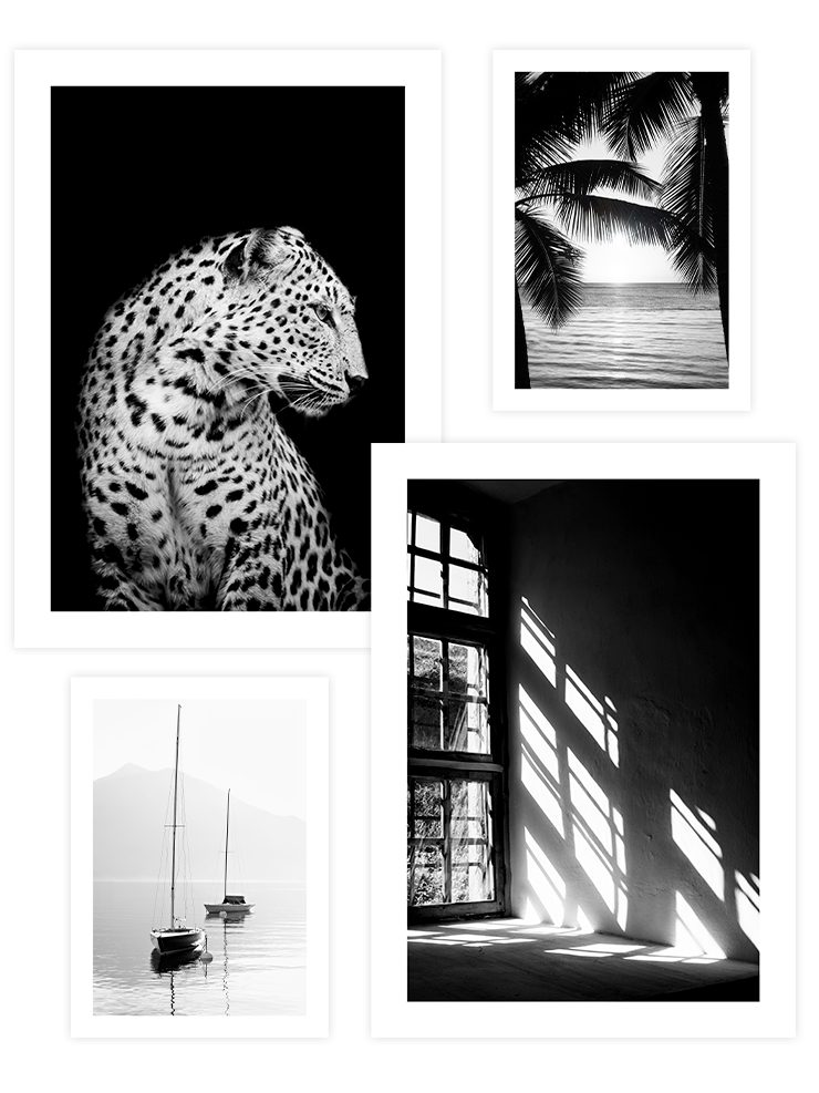 Black & White Touch Poster Seti Fotoğraflar Poster