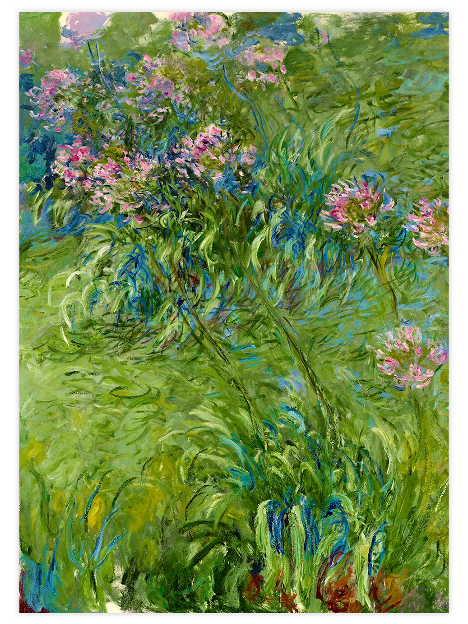 Monet Agapanthus - Art Print Ünlü Ressamlar Poster