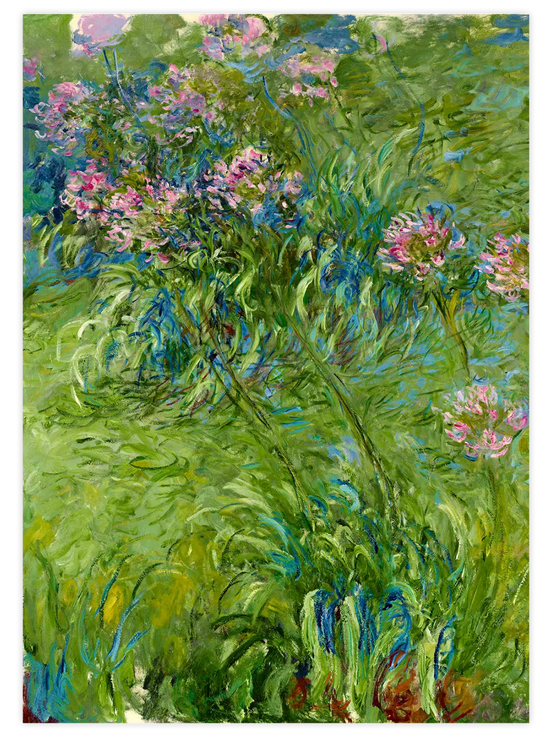 Monet Agapanthus - Art Print Ünlü Ressamlar Poster