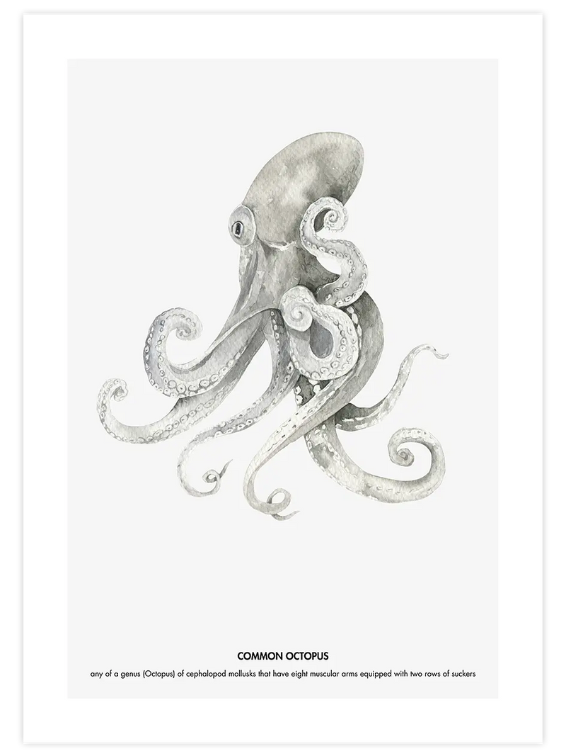 Ahtapot - Art Print Çocuk Odası Poster