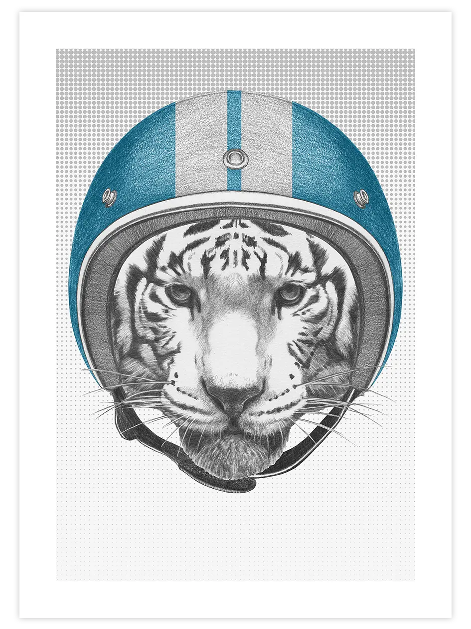 Kaplan Pilot - Art Print Çocuk Odası Poster