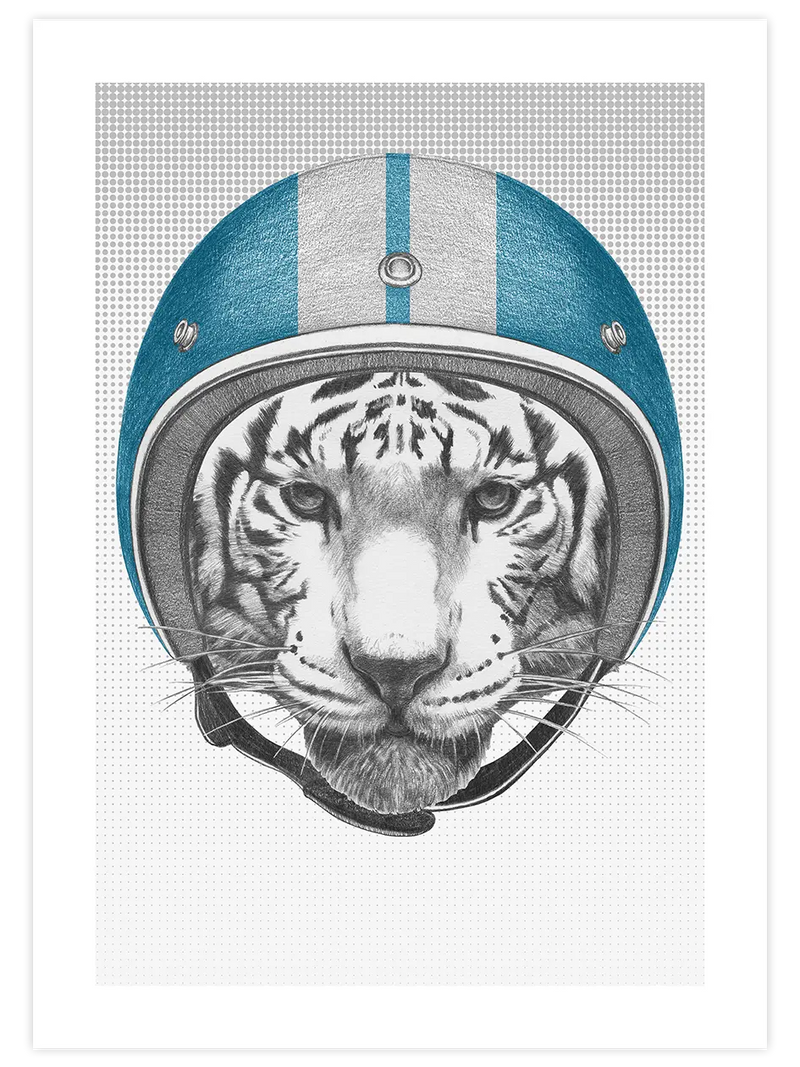 Kaplan Pilot - Art Print Çocuk Odası Poster