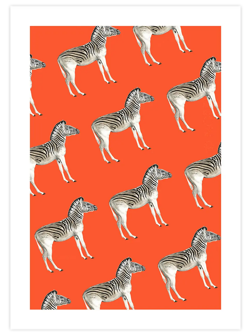 Zebralar - Art Print Sanatsal Poster